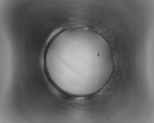 X0000111950054200908101230