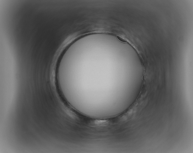 X0000111950055200908101230