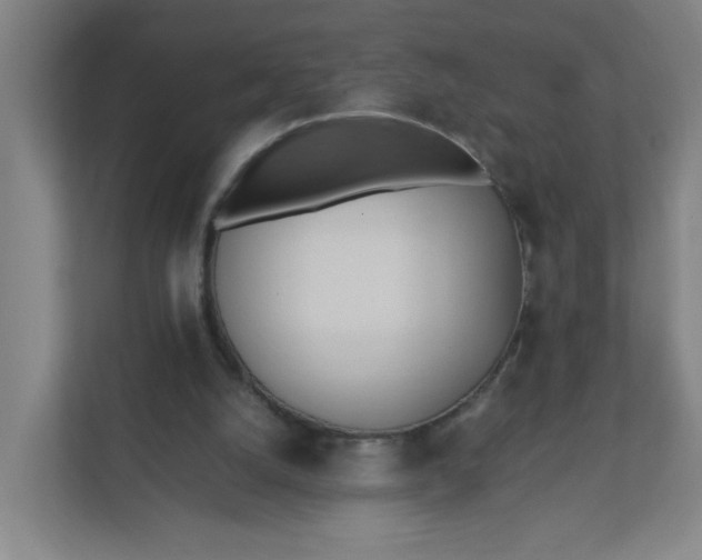 X0000111950056200908101230