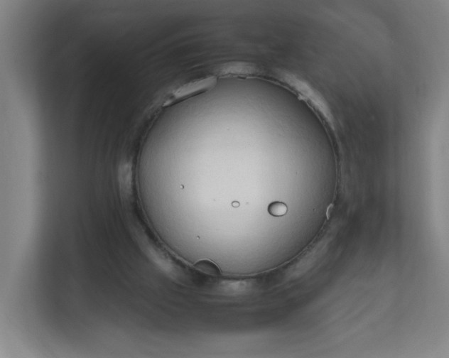 X0000111950057200908101230