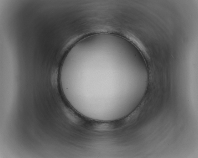 X0000111950058200908101230