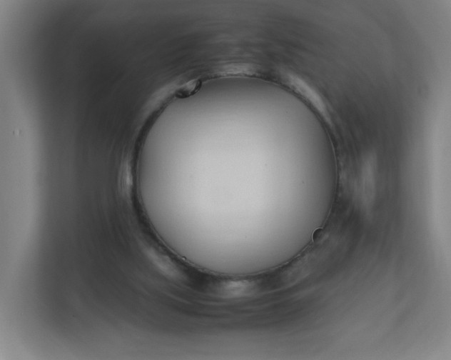 X0000111950059200908101230