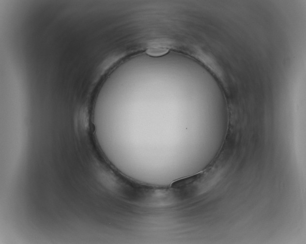 X0000111950060200908101230