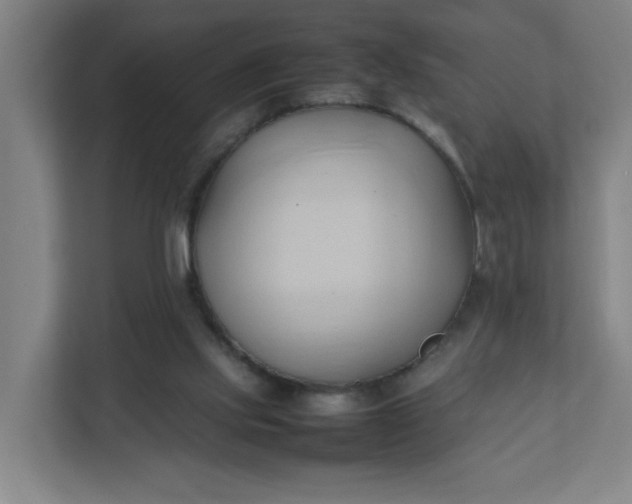 X0000111950061200908101230