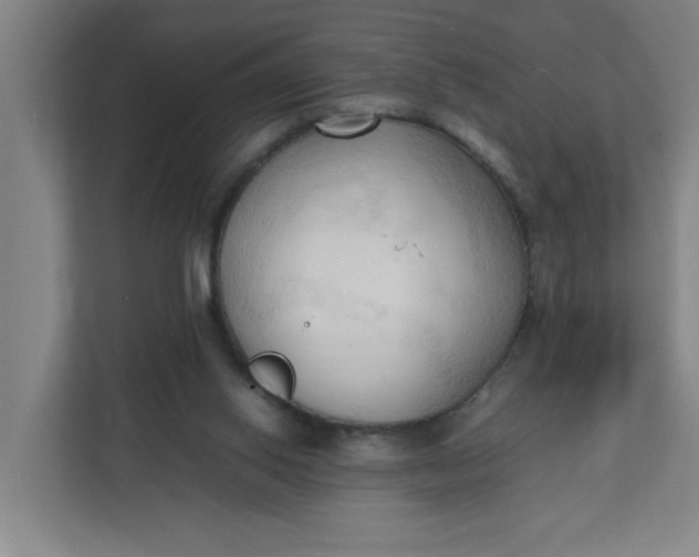 X0000111950062200908101230