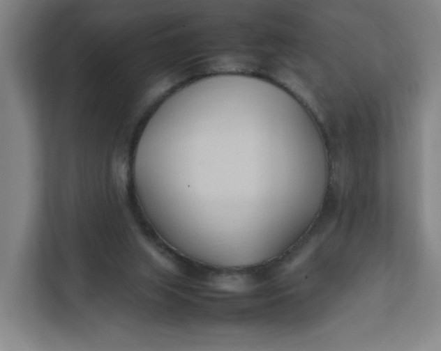 X0000111950063200908101230