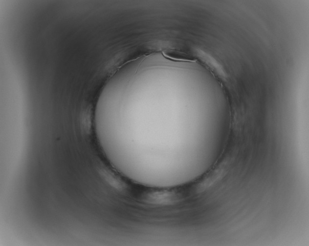 X0000111950065200908101230