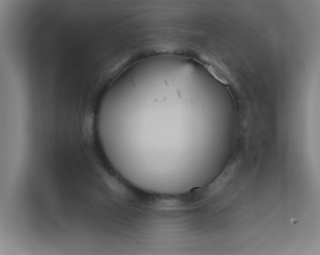 X0000111950066200908101230