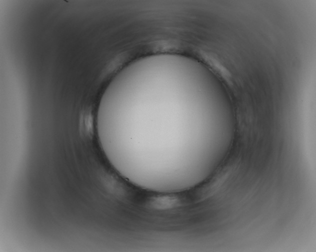 X0000111950067200908101230