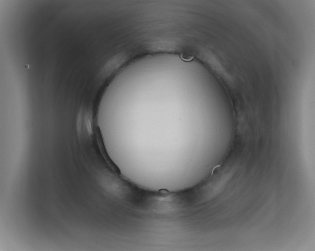 X0000111950068200908101230