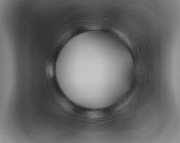 X0000111950069200908101231