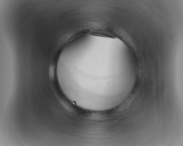 X0000111950070200908101231