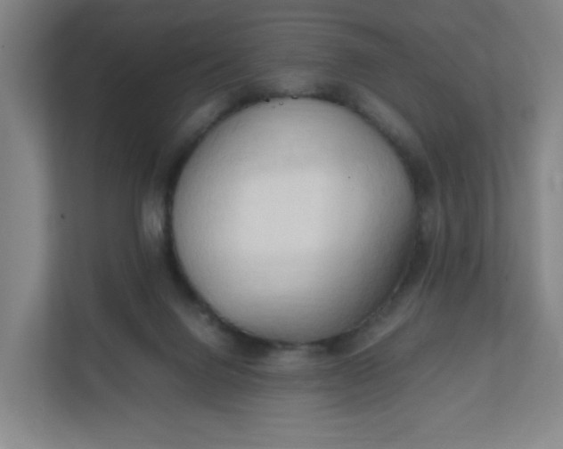 X0000111950072200908101231