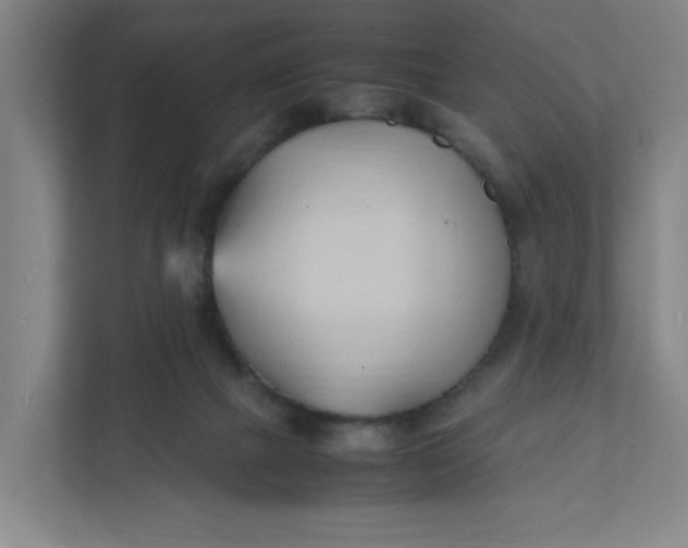 X0000111950073200908101231