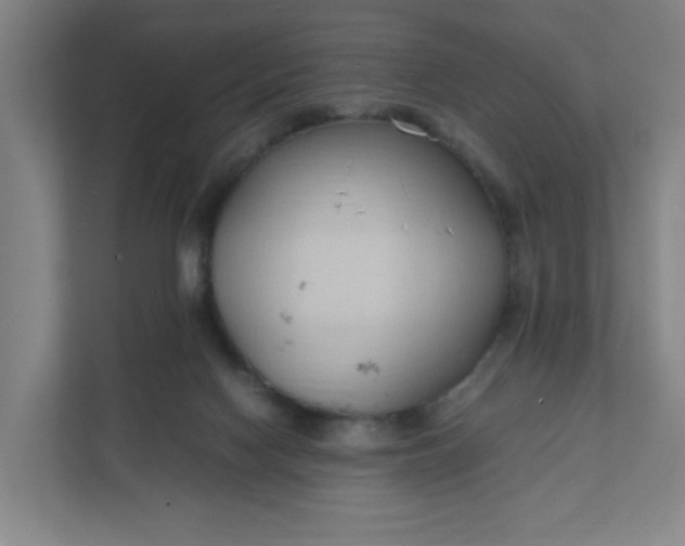 X0000111950074200908101231