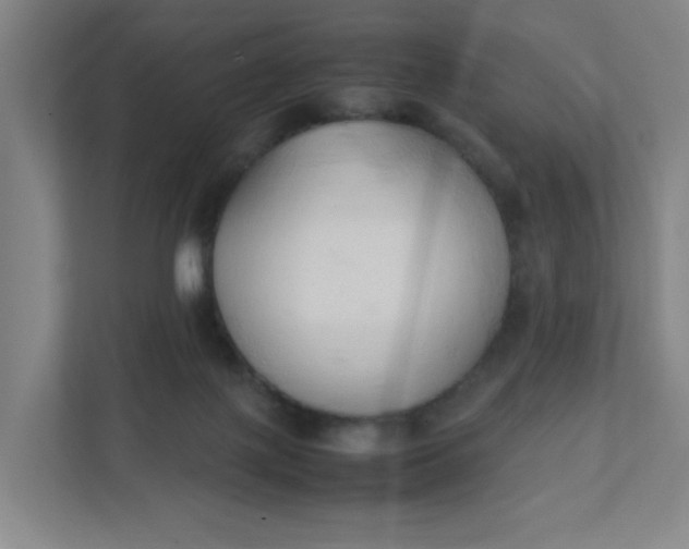 X0000111950075200908101231