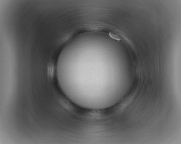 X0000111950076200908101231