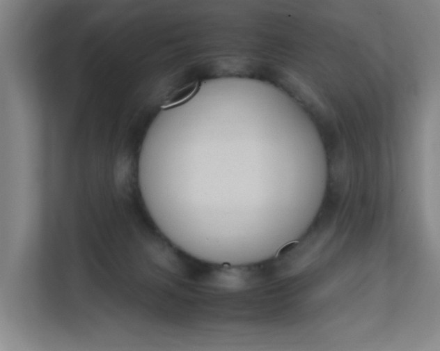 X0000111950079200908101231