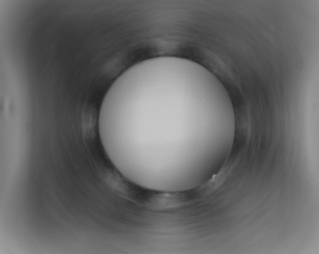 X0000111950082200908101231