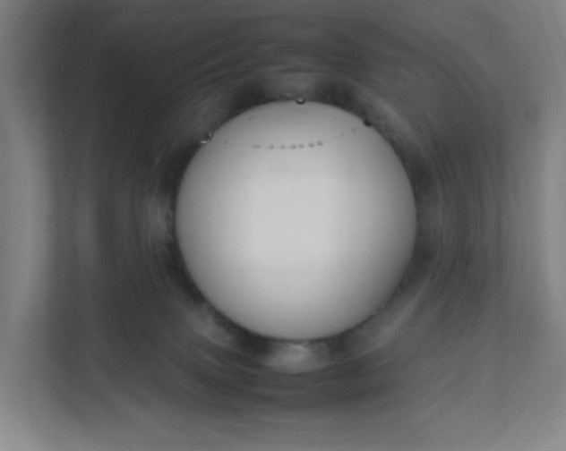 X0000111950083200908101231