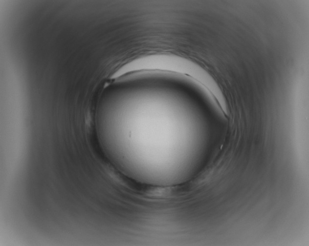 X0000111950084200908101231