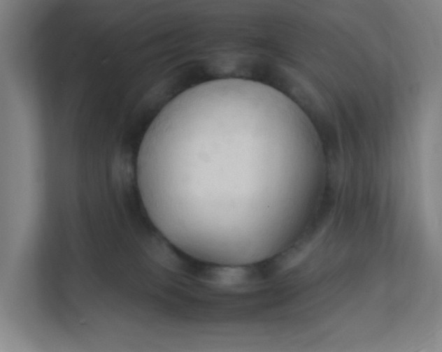 X0000111950085200908101231