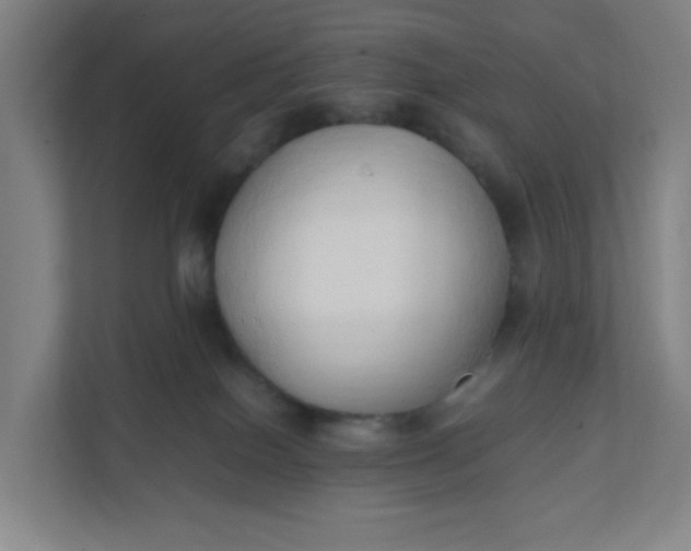 X0000111950086200908101231