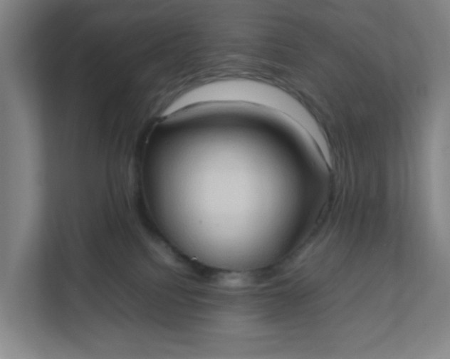 X0000111950088200908101231