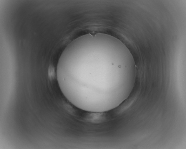 X0000111950089200908101231