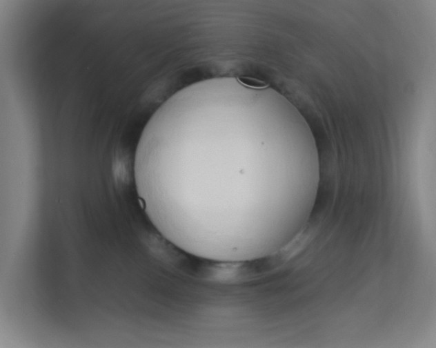 X0000111950090200908101231