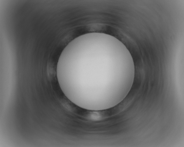 X0000111950091200908101231