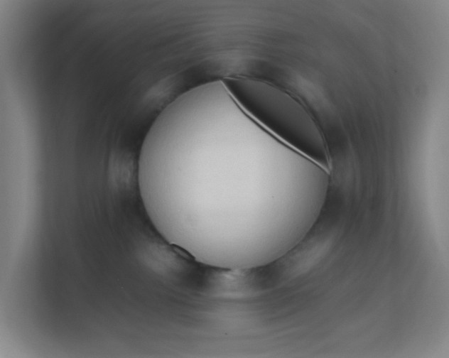 X0000111950092200908101231