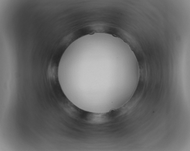 X0000111950093200908101231