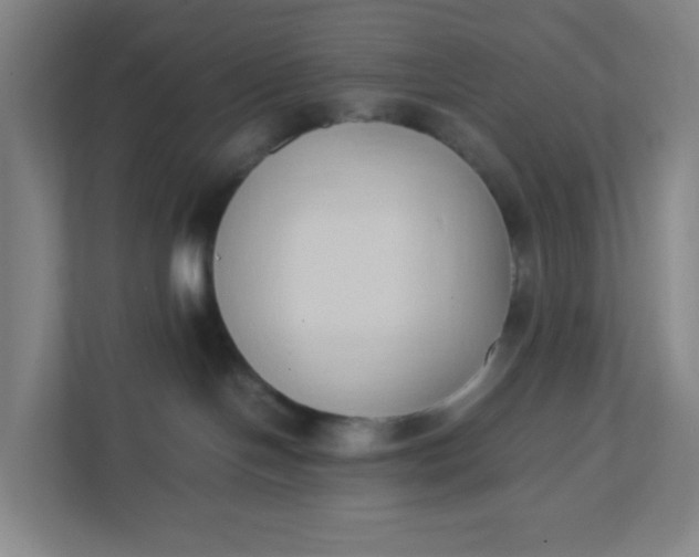 X0000111950094200908101231