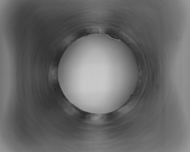 X0000111950096200908101231