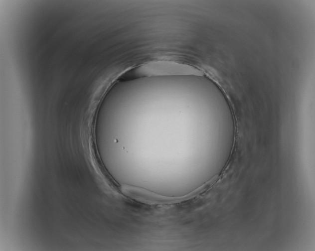 X0000111950097200908101230