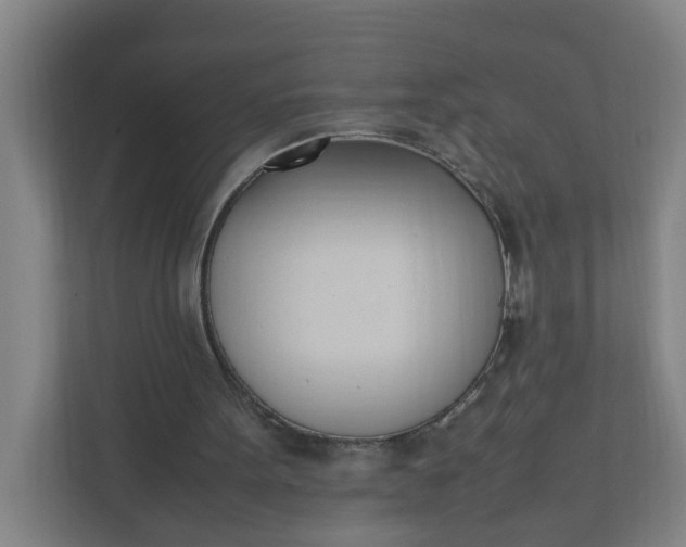 X0000111950099200908101230