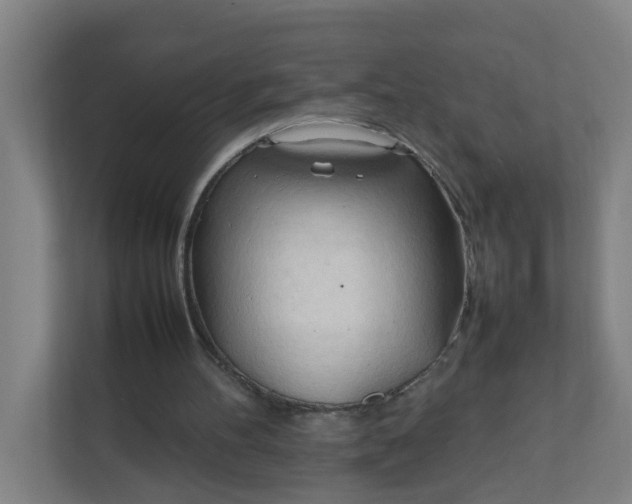 X0000111950100200908101230