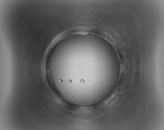 X0000111950101200908101230