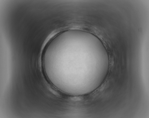 X0000111950102200908101230