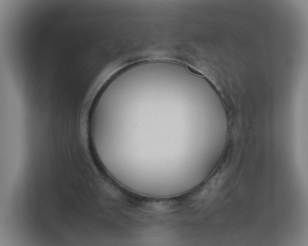 X0000111950103200908101230