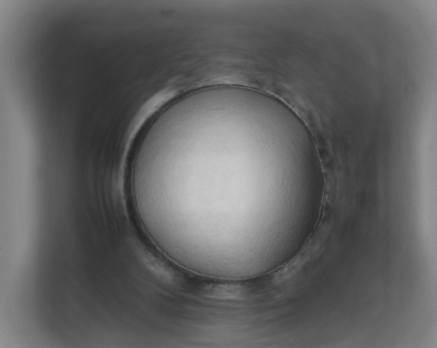 X0000111950104200908101230