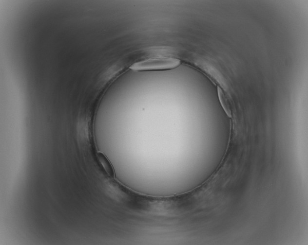 X0000111950105200908101230