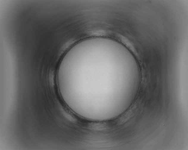 X0000111950106200908101230