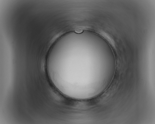 X0000111950107200908101230