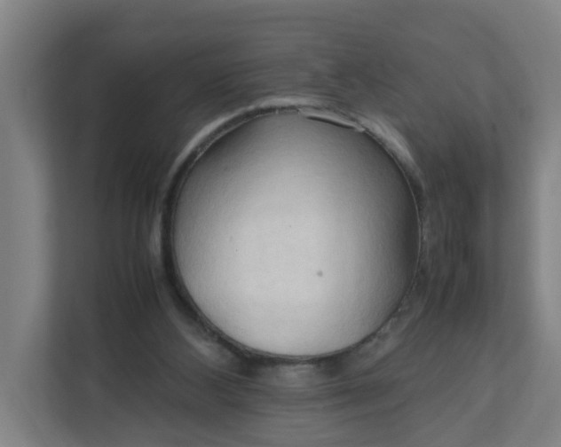 X0000111950108200908101230