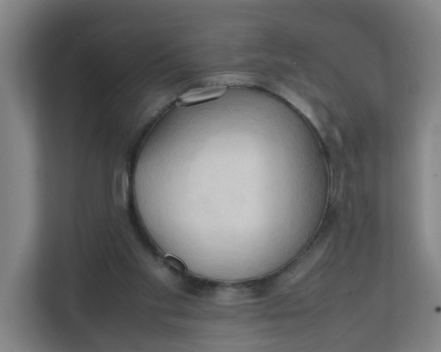 X0000111950109200908101230