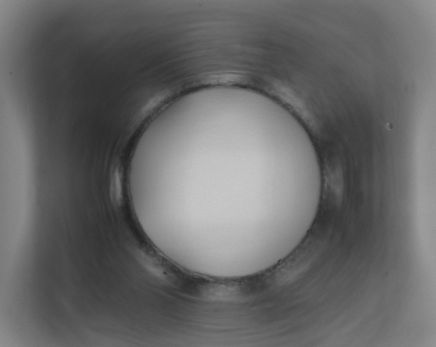 X0000111950110200908101230