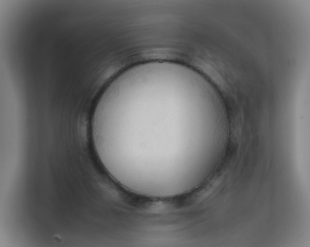 X0000111950111200908101230