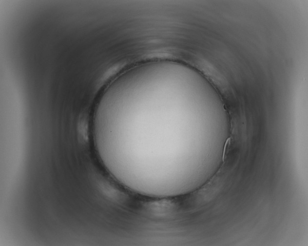 X0000111950112200908101230